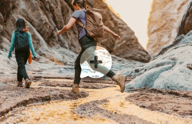 Build World-Class Websites Effortlessly